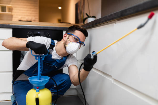 Best Ant Control Services  in Clarksville, TX