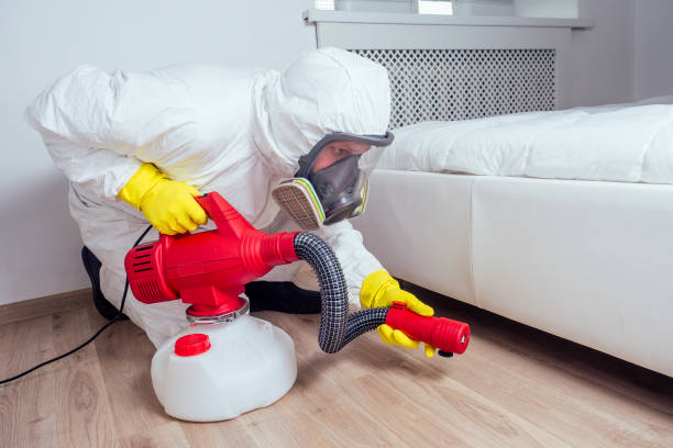 Best Cockroach Control Services  in Clarksville, TX