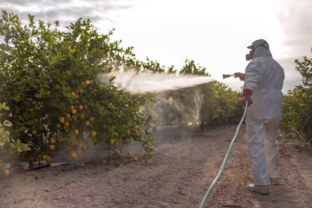 Best Affordable Pest Control Services  in Clarksville, TX