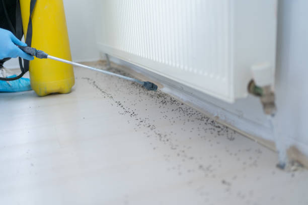 Best Pest Control Near Me  in Clarksville, TX